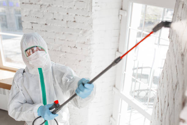 Best Residential Mold Inspection & Testing  in Sartell, MN