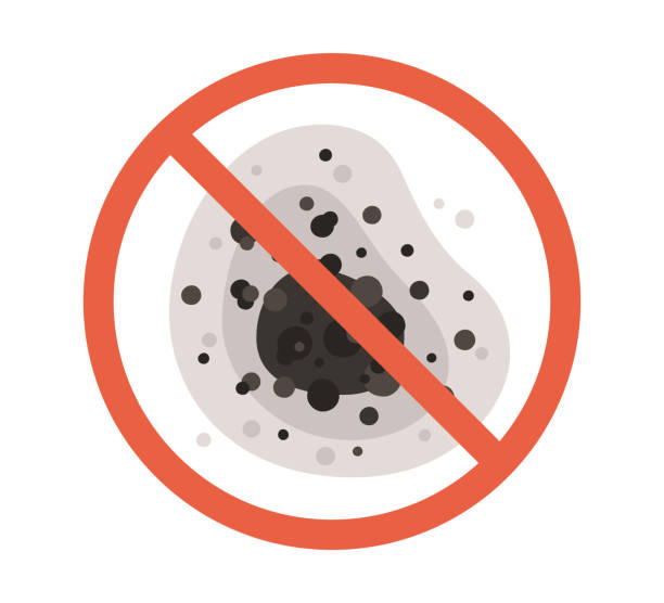 Best Mold Remediation for Healthcare Facilities  in Sartell, MN