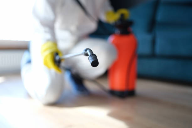 Best Forensic Mold Investigation  in Sartell, MN