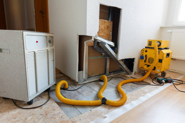 Asbestos and Lead Testing During Mold Inspection in Sartell, MN