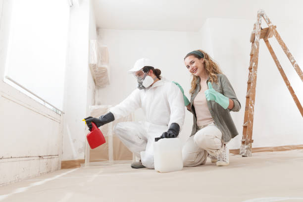 Best Crawl Space Mold Remediation  in Sartell, MN