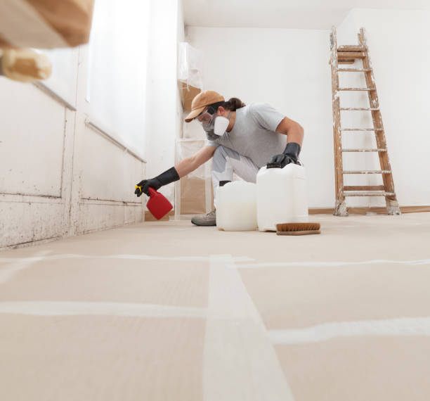 Best Residential Mold Inspection & Testing  in Sartell, MN