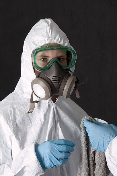 Best Asbestos and Lead Testing During Mold Inspection  in Sartell, MN
